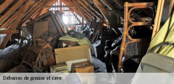 Débarras de grenier et cave 72 Sarthe  M. Lieballe 