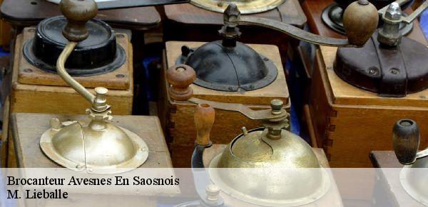 Brocanteur  avesnes-en-saosnois-72260 M. Lieballe 