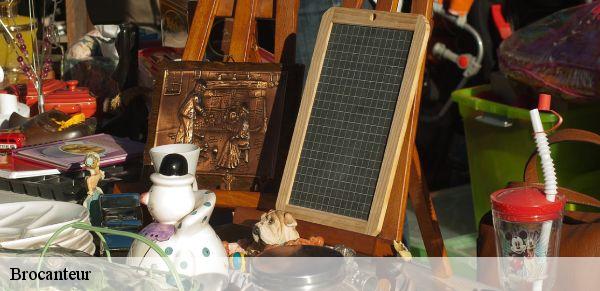 Brocanteur  avesnes-en-saosnois-72260 M. Lieballe 