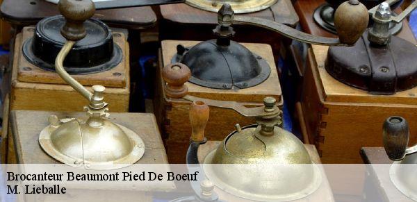 Brocanteur  beaumont-pied-de-boeuf-72500 M. Lieballe 