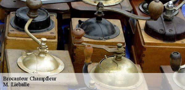 Brocanteur  champfleur-72610 M. Lieballe 