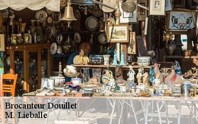 Brocanteur  douillet-72590 M. Lieballe 