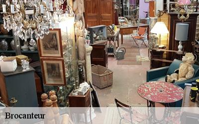 Brocanteur  douillet-72590 M. Lieballe 