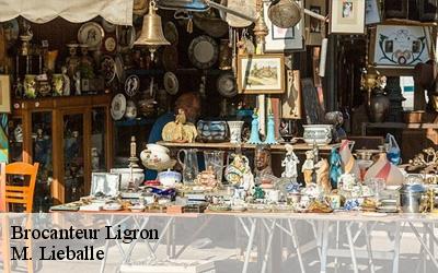 Brocanteur  ligron-72270 M. Lieballe 