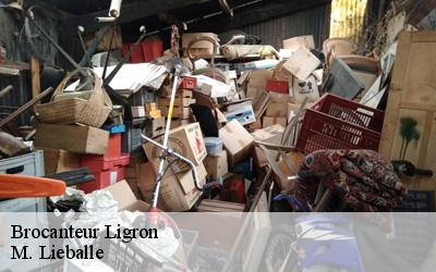 Brocanteur  ligron-72270 M. Lieballe 