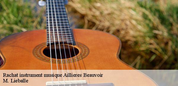 Rachat instrument musique  aillieres-beauvoir-72600 M. Lieballe 