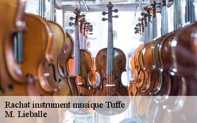 Rachat instrument musique  tuffe-72160 M. Lieballe 