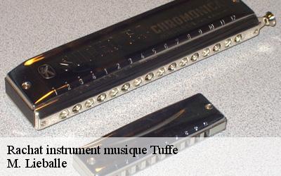 Rachat instrument musique  tuffe-72160 M. Lieballe 