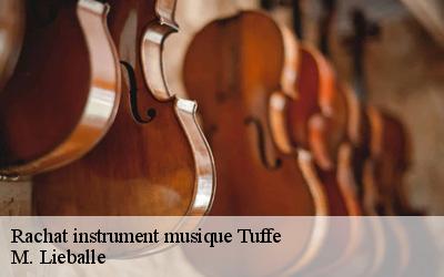 Rachat instrument musique  tuffe-72160 M. Lieballe 