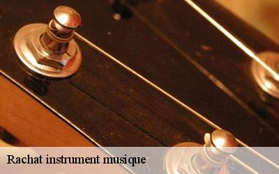 Rachat instrument musique  le-buisson-72610 M. Lieballe 