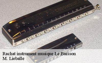 Rachat instrument musique  le-buisson-72610 M. Lieballe 