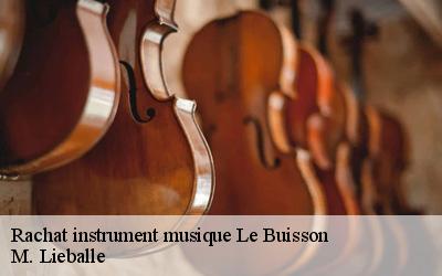 Rachat instrument musique  le-buisson-72610 M. Lieballe 