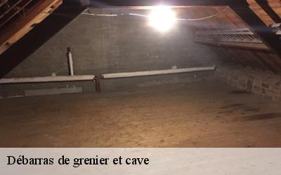 Débarras de grenier et cave  aubigne-racan-72800 M. Lieballe 