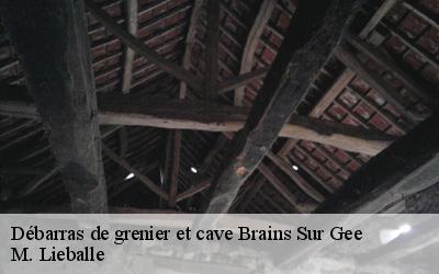 Débarras de grenier et cave  brains-sur-gee-72550 M. Lieballe 