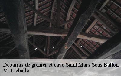 Débarras de grenier et cave  saint-mars-sous-ballon-72290 M. Lieballe 